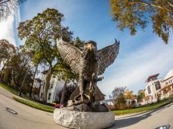 red hawk statue from below on a sunny day