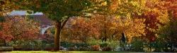 photo of student walking on campus in the fall