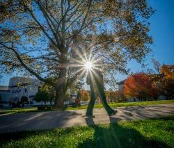 Student walking by a tree with the sun shining