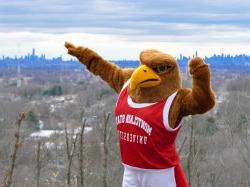 Rocky overlooking the NYC skyline.