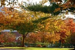 Campus in the fall with multicolored leaves and landscaping by Kasser Theater.